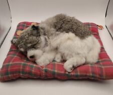 2006 Westminster Filhote de Dormir Cachorro Pele de Coelho Husky Cachorro em Cama Xadrez Vermelha 9"x12" comprar usado  Enviando para Brazil