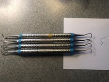 Friedy sichelscaler 6 gebraucht kaufen  Rinteln
