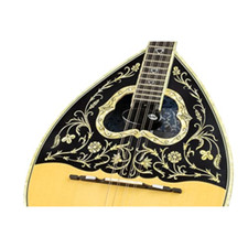 Pickup kna bouzouki usato  Roccagloriosa