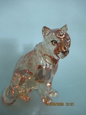 Swarovski scs amur gebraucht kaufen  Jesteburg