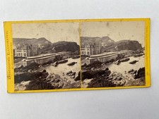 1800s early stereoview for sale  CHEDDAR
