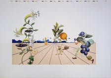 Salvador dali flordali d'occasion  Paris XX