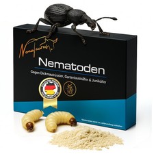 Nematode larven dickmaulrüssl gebraucht kaufen  Aurich