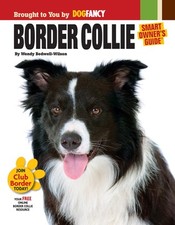 Border collie for sale  Little Falls