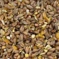 Dove food mix for sale  NEWTON-LE-WILLOWS