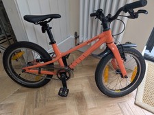 specialized riprock 16 bike for sale specialized riprock 16 bike for sale PETERSFIELD