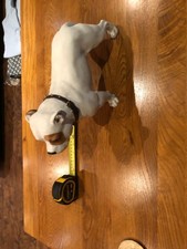 Staffordshire bull terrier for sale  STAFFORD