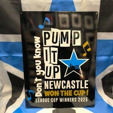 Vencedores da Copa da Liga Pump It Up 2025 (placa de metal) comprar usado  Enviando para Brazil
