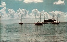 Postcards gully harbor for sale  Highspire