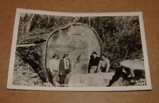 log fir for sale log fir for sale Loves Park