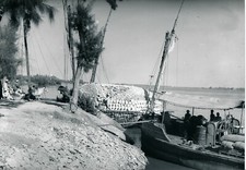 Denderah 1960 nil d'occasion  Ballon