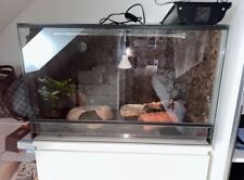 Terrarium reptilien komplett gebraucht kaufen  Haiterbach