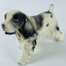 English springer cocker for sale  Omaha