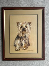 Pollyanna pickering yorkshire for sale  DERBY