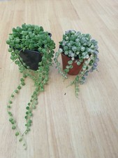 String pearls bundle for sale  BOSTON