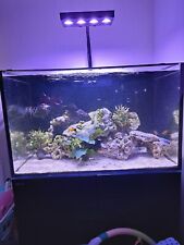 Red sea 300xl for sale  GILLINGHAM