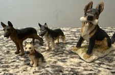 German shepherd puppies for sale  Maricopa