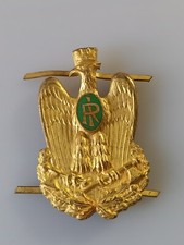 Fregio cappello guardia usato  Borgo San Lorenzo