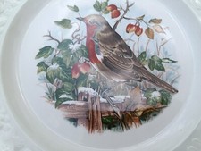 Vintage royal worcester for sale  HOUGHTON LE SPRING