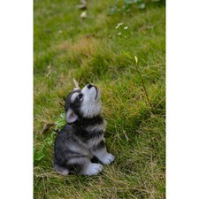 Howling alaskan malamute for sale  USA