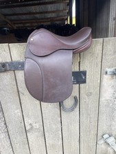 14inch brown pony for sale  WELSHPOOL