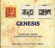 Genesis selling england usato  Latina