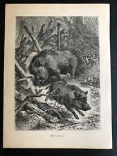 Gravure bois chasse d'occasion  Expédié en France