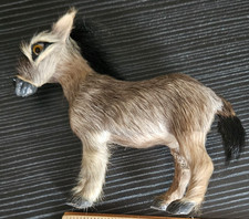 Donkey burro mule for sale  Newport