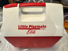Igloo cooler little for sale  Loami