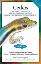 Geckos day geckos for sale  Aurora