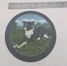 Border collie welsh for sale  COLCHESTER
