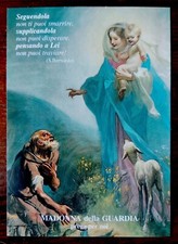 Santino madonna della usato  Monte San Pietro