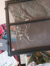 exo terra terrarium 45x45x60 gebraucht kaufen exo terra terrarium 45x45x60 gebraucht kaufen Annaberg-Buchholz, Mildenau