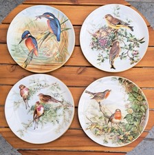 coalport bird plates for sale coalport bird plates for sale OXFORD