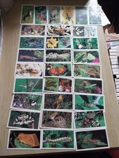 Grandee cigar cards. for sale  KINGSBRIDGE