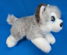 Siberian husky alaskan for sale  BORDON