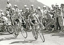 Bernard hinault greg for sale  LONDON