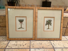 Set tropical tree for sale  Nashville