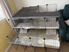 Guinea pig rabbit for sale  WALTHAM CROSS