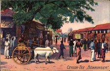 Künstler ceylon tee gebraucht kaufen  Berlin