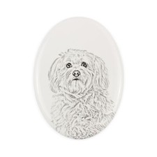 Bichon havanais pierre d'occasion  Expédié en France
