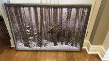 Walk woods stephan for sale  Columbia