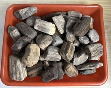 Sammlung versteinertes holz gebraucht kaufen  Kamenz