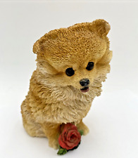 Livingstone vintage pomeranian for sale  Chesapeake