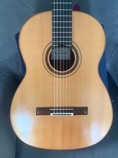 Roy courtnall concert for sale  LINCOLN