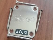 Fender squier classic gebraucht kaufen  Isny im Allgäu