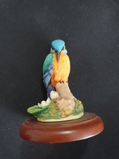 Birds russell willis for sale  DURHAM