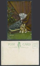 Cats kittens books for sale  UK