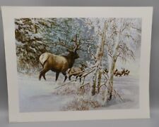 Tom beecham elk for sale  Oxford