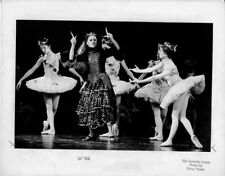 Sleeping beauty ballet for sale  Pittsfield